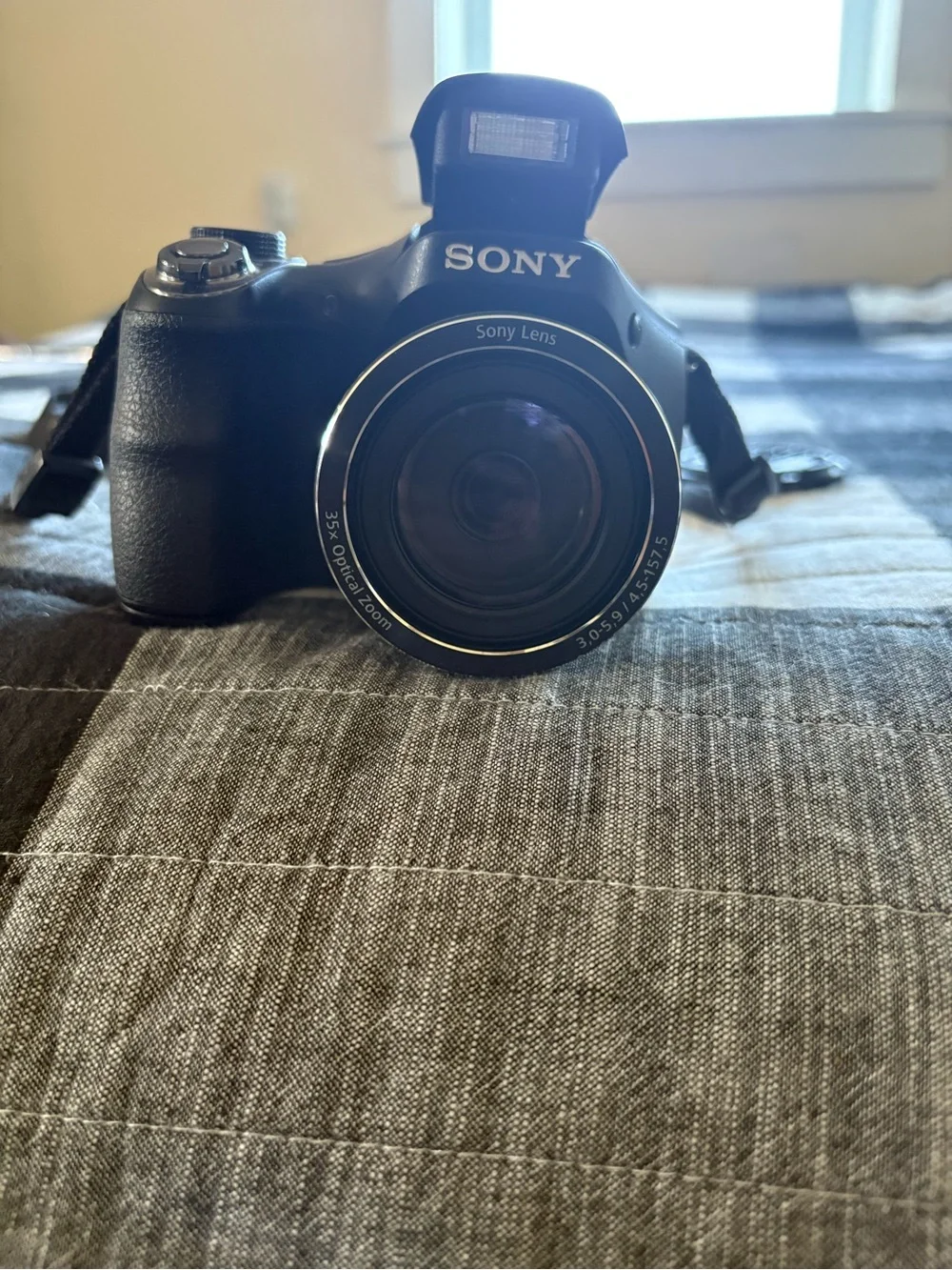 Sony Black Bridge Camera with LCD Display